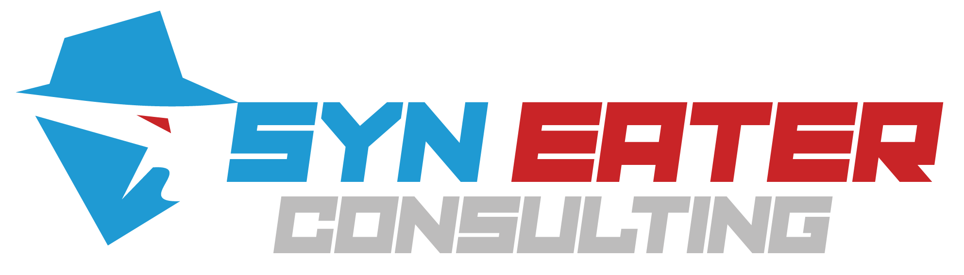 SYN Eater Consulting